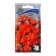 Flower seeds Lichnis volcano, 0.1 gr