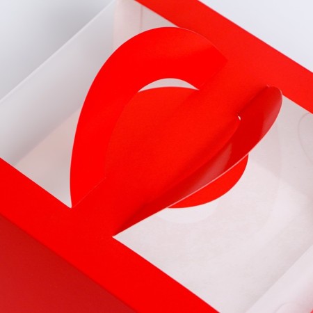 Bearbox under the bento-port with a window, scarlet, 14 x 14 x 8 cm-2