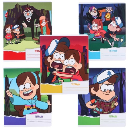 Notebook in a line of 18 sheets, 5 types of mix, cover coated cardboard, gravity farz-2