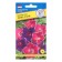 Flowers of the Ipomeus "Kike-Zaki", 5 pcs