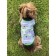 T-shirt with cuffs for dogs "Koala", size 32 (DS 32 cm, OG 39-41 cm), cotton 1