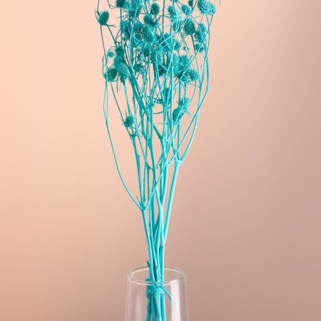 A set of dried flowers "Eringium", ban 5 pcs, length 50 (+/- 6 cm), turquoise-1