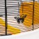 The cage for rodents is equipped, 48 x 35 x 34 cm, red