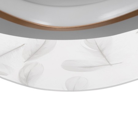 Chase with DNO "Malva" LED 120W 3000-6000K white-gold 50x45x7 cm Bayerlux-7