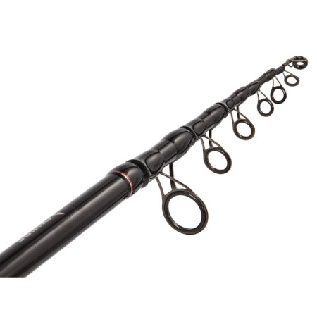 The Karpovs Salmo Elite Tele Carp rod, test 10-135, length 3.6 m.-2