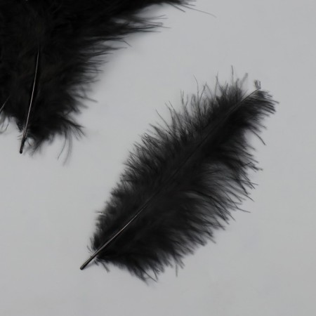Pen decorative goose down "Black" set 40 pcs h = 10-15 cm-1
