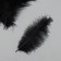 Pen decorative goose down "Black" set 40 pcs h = 10-15 cm