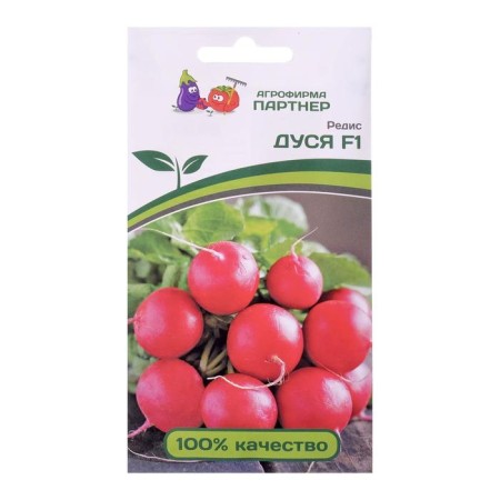 Seeds Radis "Dusya", F1, 1 g