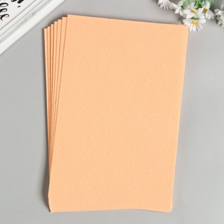 Hard felt 1 mm 20x30 cm ts.652 peach