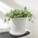 Pot for flowers with the Podon Venice, 5.5 l, d = 23 cm, white color