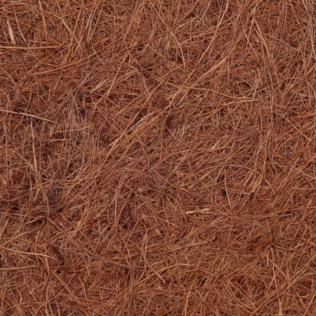 Coconut fiber rug, 50 x 30 cm-3