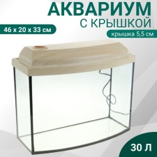 Aquarium 
