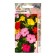Seeds Mirabilis Rainbow 1g*