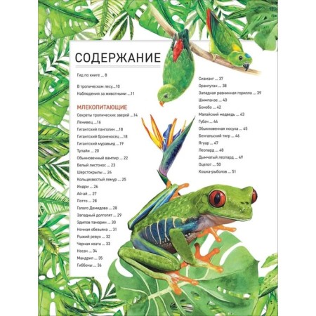 Encyclopedia "Amazing Animals"-1