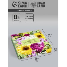 Box for 8 sweets + chocolate, with a window of 