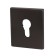 Decorative decorative lining ET Protector/USS BPVD, Frozen Nickel Color