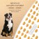 Titbit cracker for dogs, with duck meat, 100 g