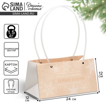 Moisture -resistant packet for Flakes, 24 x 12 x 12 cm, New Year-1