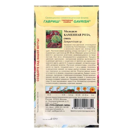 Flower seeds are young "Stone rose", 0.01 g-1