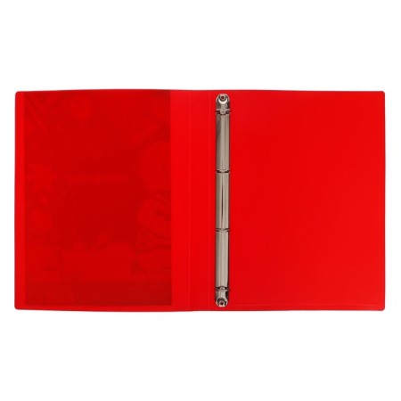 A4 Portfolio folder, calligrata "change", plastic, on 4 rings, for a student, without liners-4