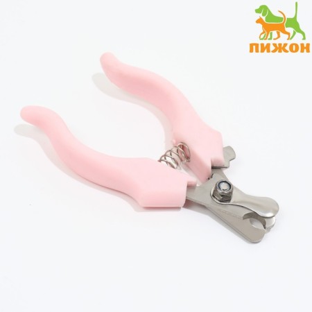 Small Economy Coogers, 12 x 4.5 x 1.4 cm, pink