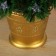 Fibrooptic Christmas tree "Star" 90 cm 80 branches