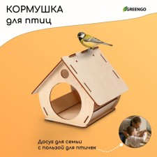 Bird feeder 