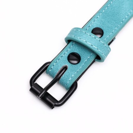 A collar with a remote ring "Mona", 42 x 2 cm, mint-4