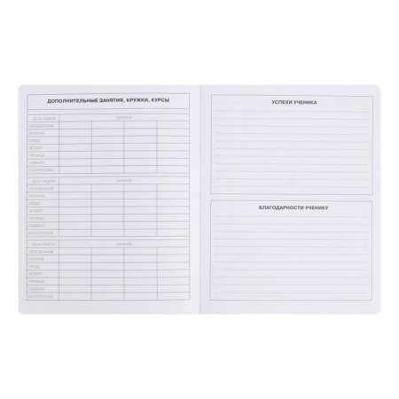 Diary Artificial leather 1-11 grade, 48 sheets, cage, hard cover, my choice. No. 9, foil embossing, rounded corners, lies, block 70g/m²-5