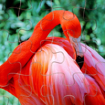 Puzzle series Flamingo Flaming, 24 details, size - 28 × 18.5 cm-2