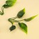 A branch of greens, size 1 pc. - 10 × 4 × 4 cm, set 3 pcs.