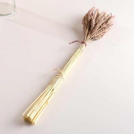 A set of dried flowers "wheat", a ban 35-40 pcs, length 55-65 (+/- 6 cm), brown-3