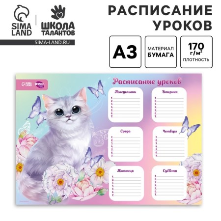 Air Miracle Lessons Schedule A3