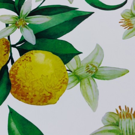 Joy Home Serving Napkin, Sun Lemon, 26x41 cm-1