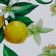 Joy Home Serving Napkin, Sun Lemon, 26x41 cm