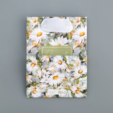 Gift laminated package, packaging, Pressent, 9 x 12 x 6.5 cm-5