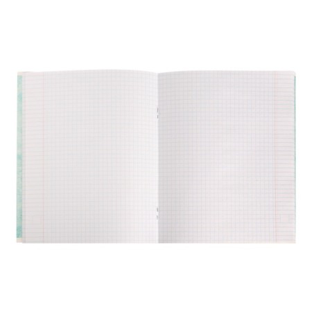 Subject Calligrata “comic book anime”, 48 sheets in the cage of social studies, with reference material, cover shaking cardboard, uf-lak (full), block offset-3