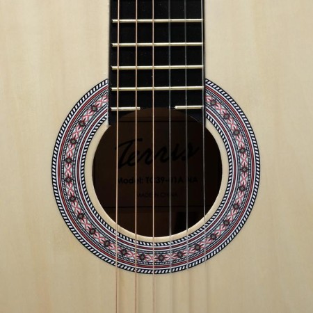 Classical guitar Terris TC-3901A NA-2