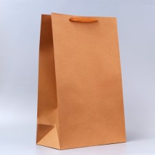Craft Packet without print, 38 x 60 x 20 cm 210 g