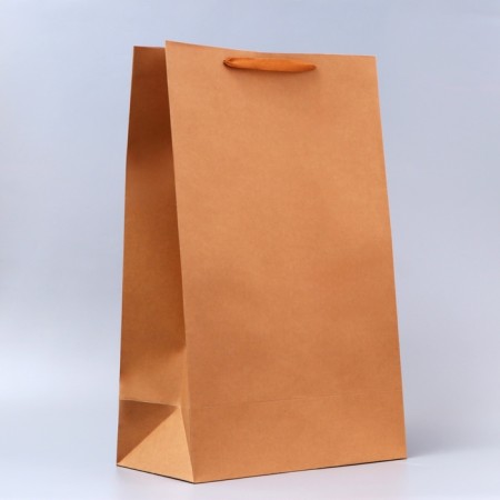 Craft Packet without print, 38 x 60 x 20 cm 210 g