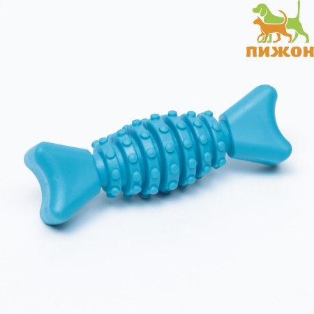 Chewing toy "candy", tpr, 12 cm, blue