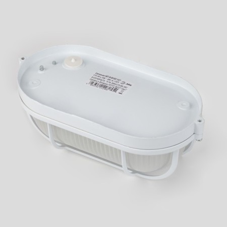 Lamp ERA NBP 04-60-002, E27, 60W, 212x105x85 mm, IP54-4