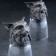 Set of stop-and-outs "lynx", d = 4.5cm h = 8.5cm, 2 pcs, 50 ml