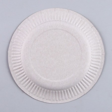 A disposable paper plate "This is your day", a set of 6 pcs.-3