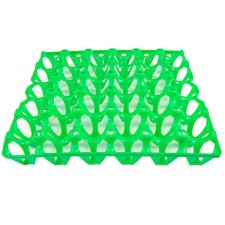 Chicken egg tray, green