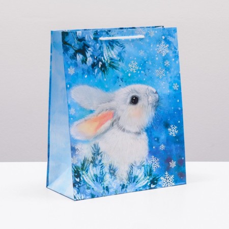 Gift package "Hare Belyak", 26 x 32 x 12 cm