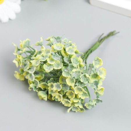 Decor for creativity "inflorescence - melting pile" 1 bouquet = 6 branches green 10 cm