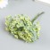 Decor for creativity "inflorescence - melting pile" 1 bouquet = 6 branches green 10 cm