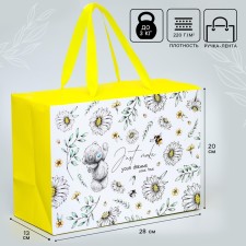 Package-Korobok, 20x28x13 cm 