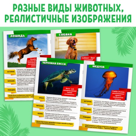 Mini-encyclopedia "World of Animals", 8 pcs. 20 p.-3